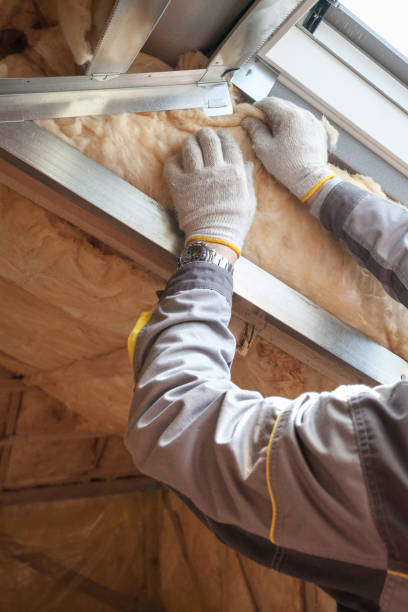 Best Blown-in Insulation in Redwater, TX